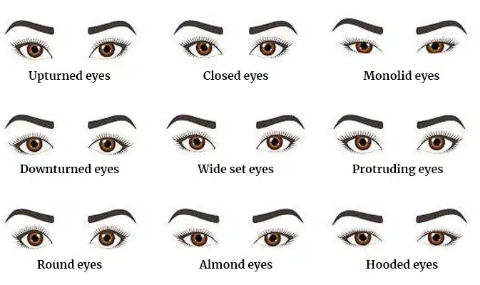 Different eye shapes