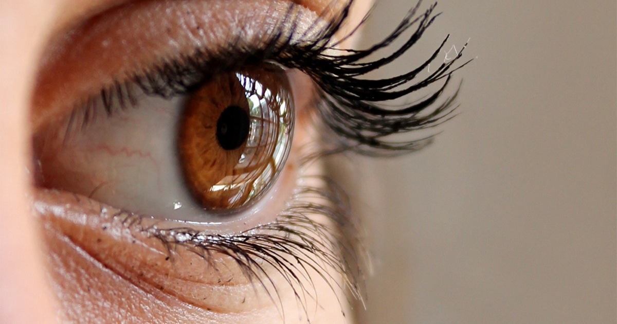 Blog anatomie van het oog